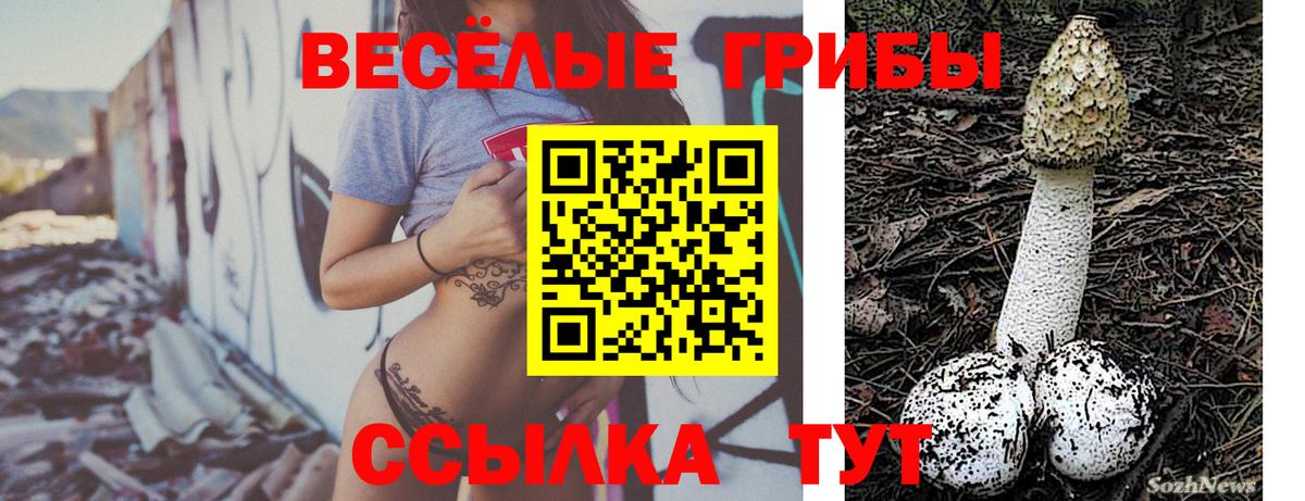 Галлюциногенные грибы Cubensis  Галлюциногенные грибы MAGIC MUSHROOMS  Вход с VPN  Нововоронеж 